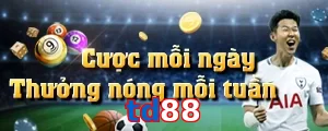 td88